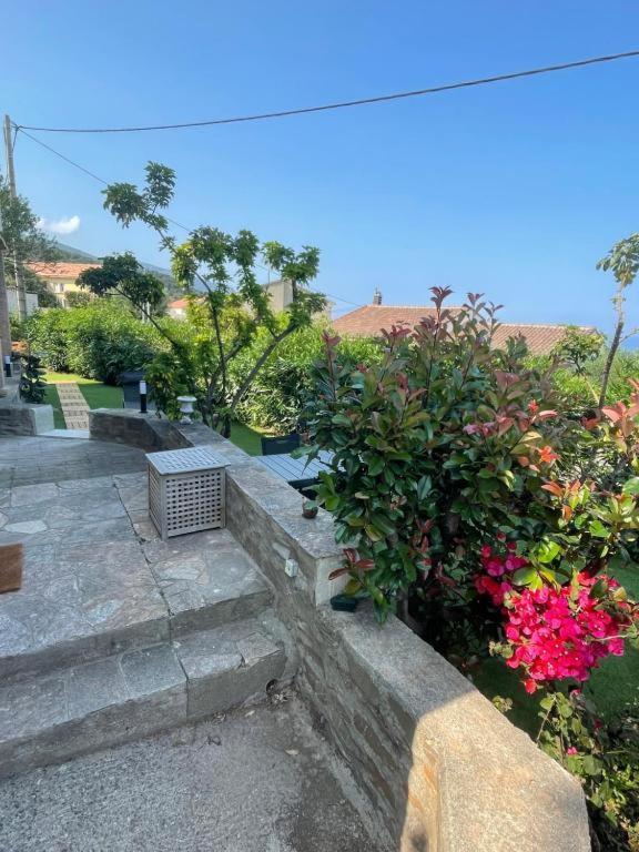 Le Cap Διαμέρισμα San-Martino-di-Lota Εξωτερικό φωτογραφία